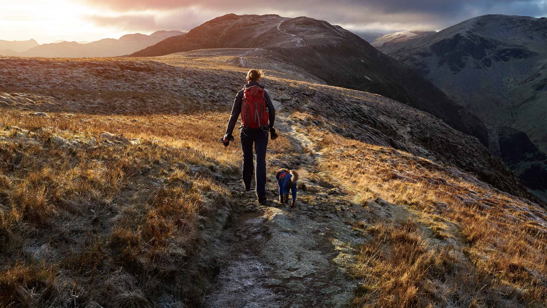 Wilderness Inspired Pet Nutrition